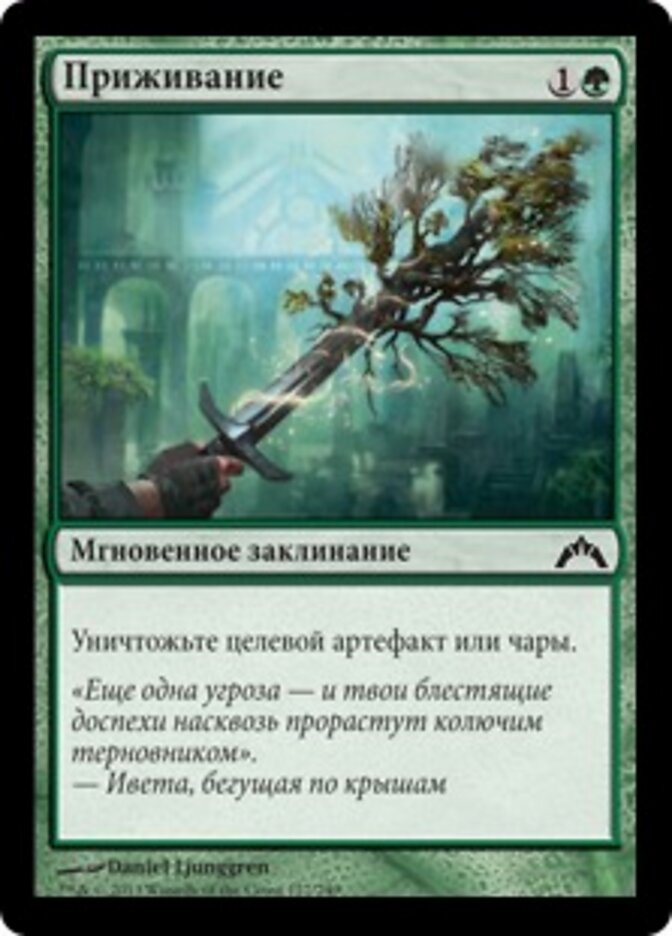 Приживание
