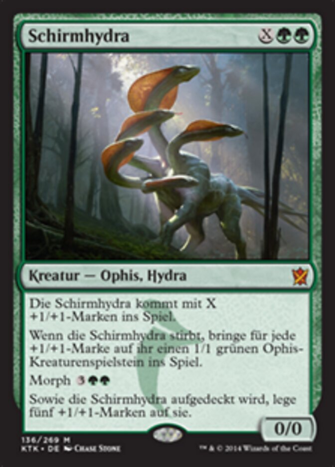 Schirmhydra
