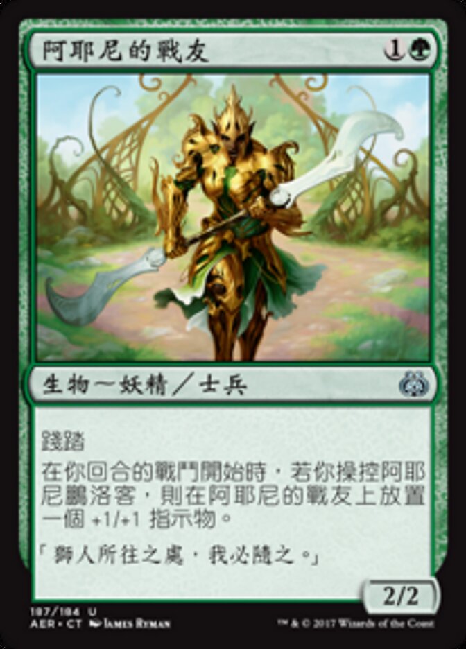 阿耶尼的戰友