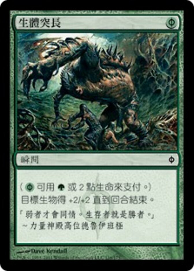 生體突長