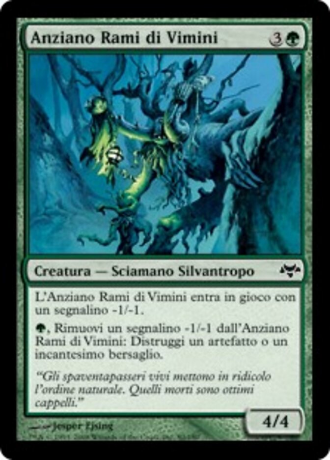 Anziano Rami di Vimini