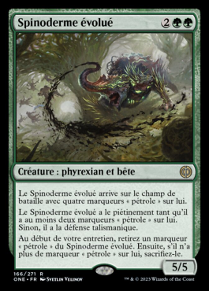 Spinoderme évolué