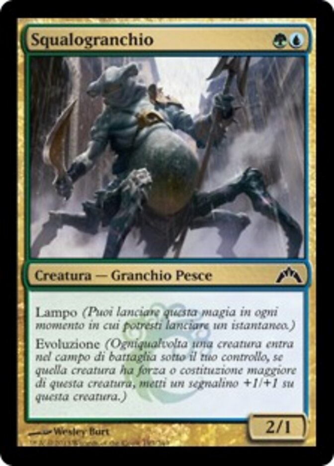 Squalogranchio