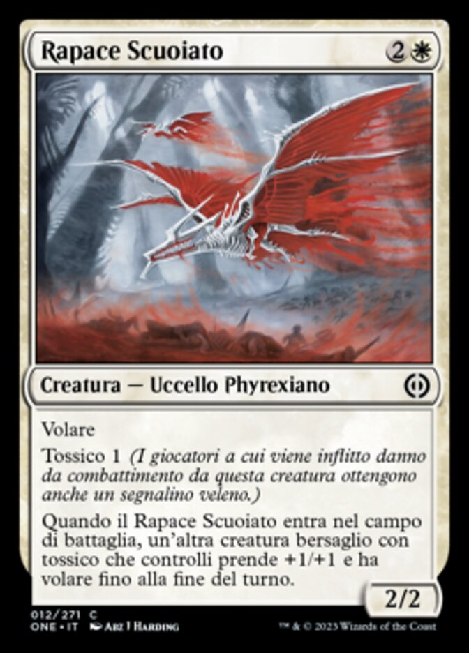 Rapace Scuoiato