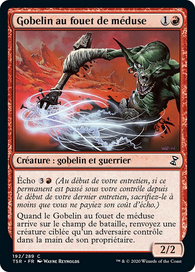 Gobelin au fouet de méduse