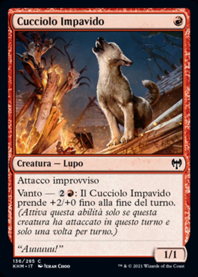Cucciolo Impavido