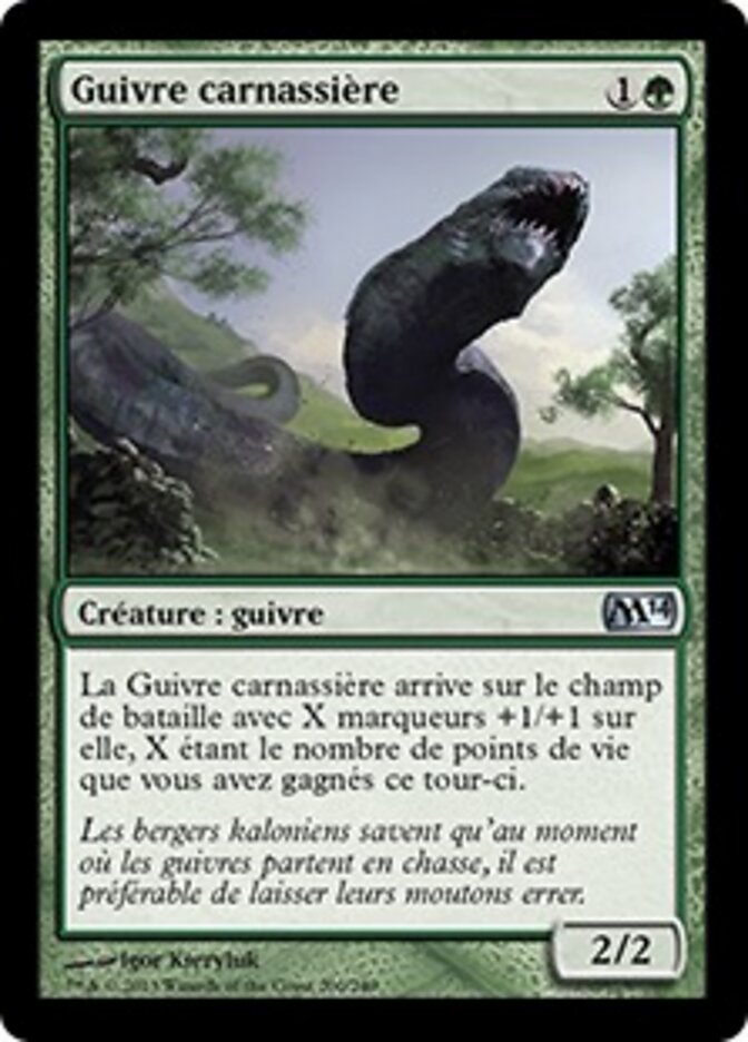 Guivre carnassière