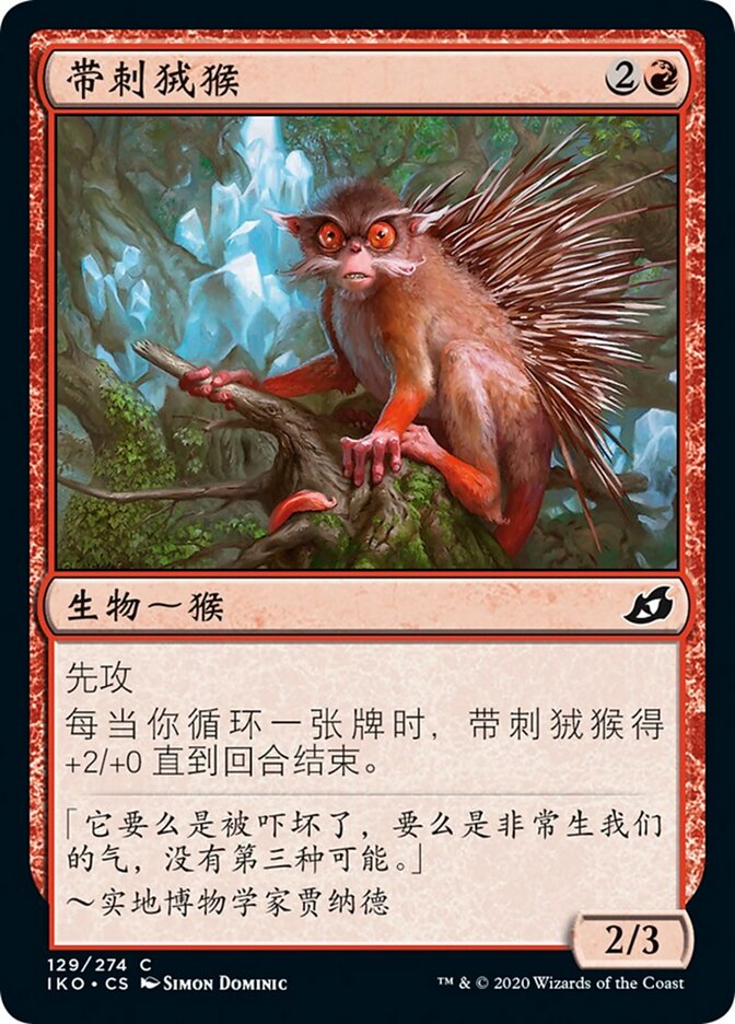 带刺狨猴