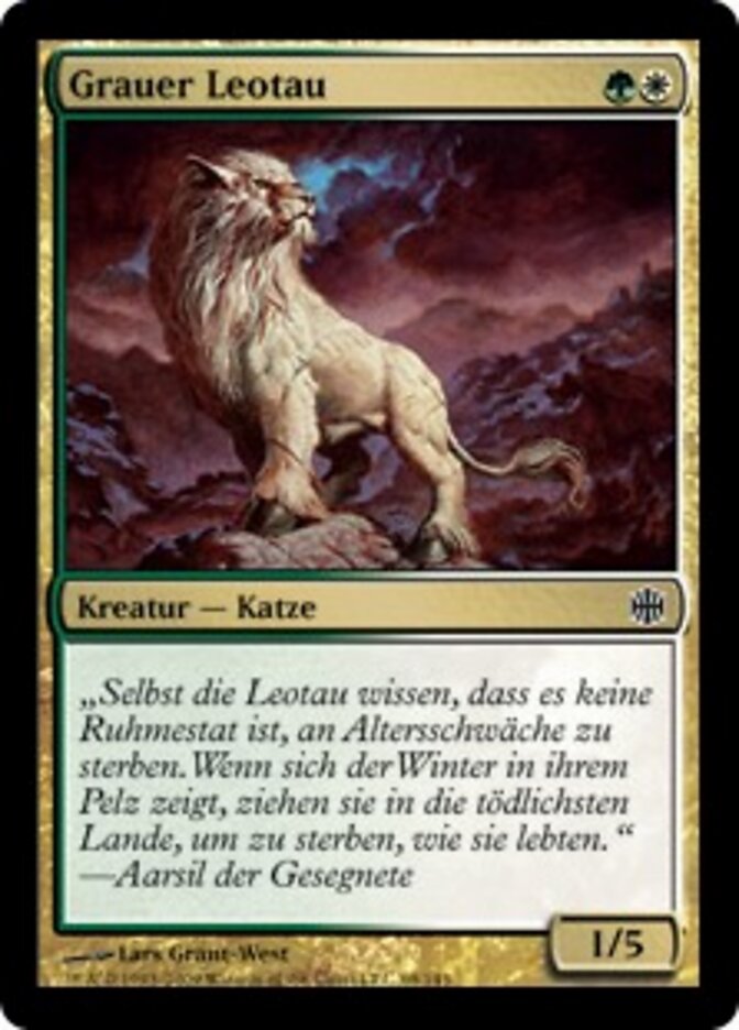 Grauer Leotau
