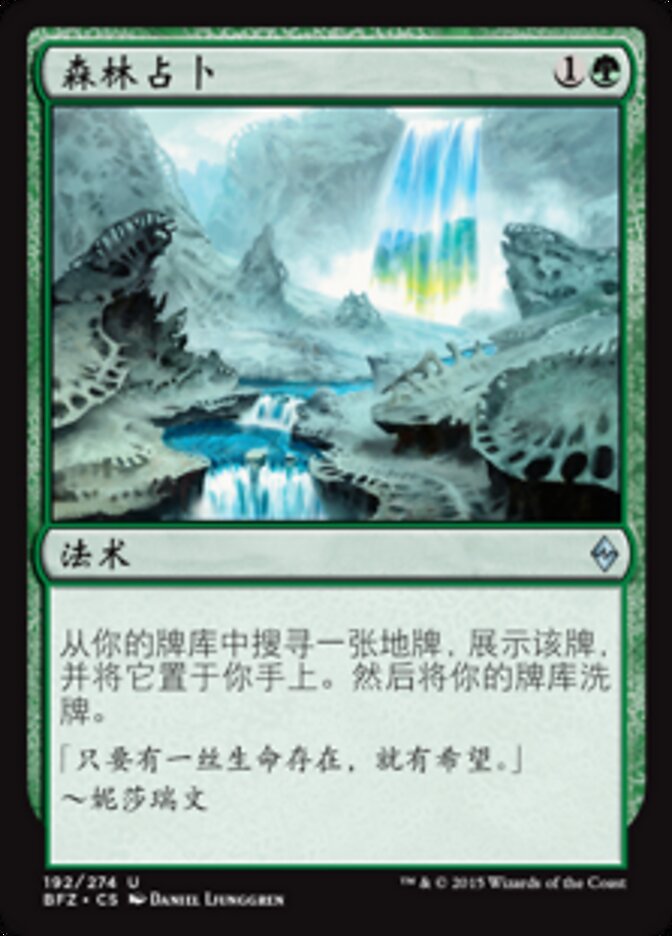 森林占卜