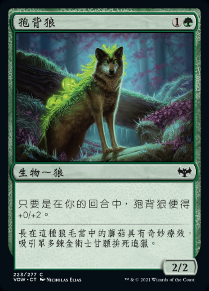 孢背狼
