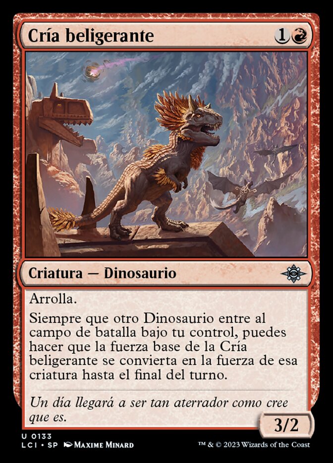 Cría beligerante