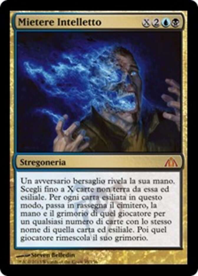 Mietere Intelletto