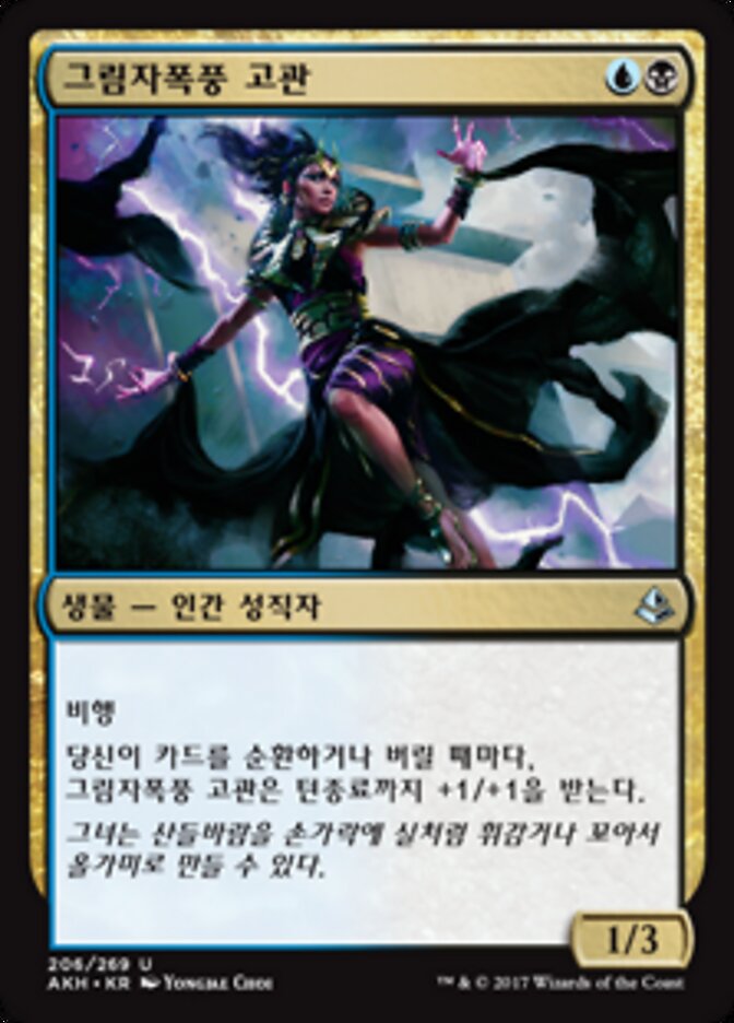 그림자폭풍 고관