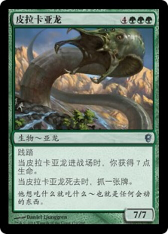 皮拉卡亚龙