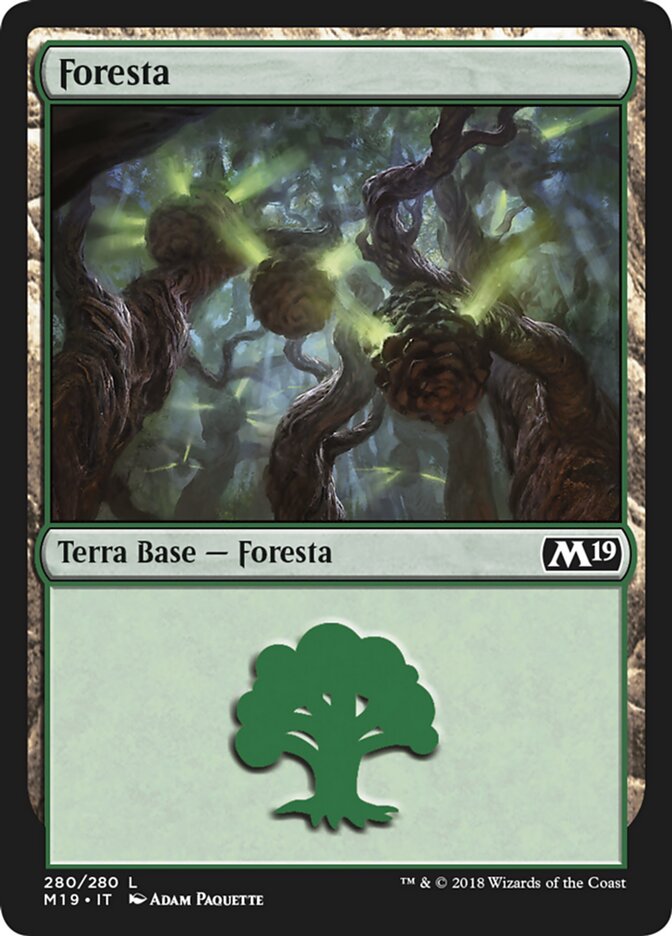 Foresta