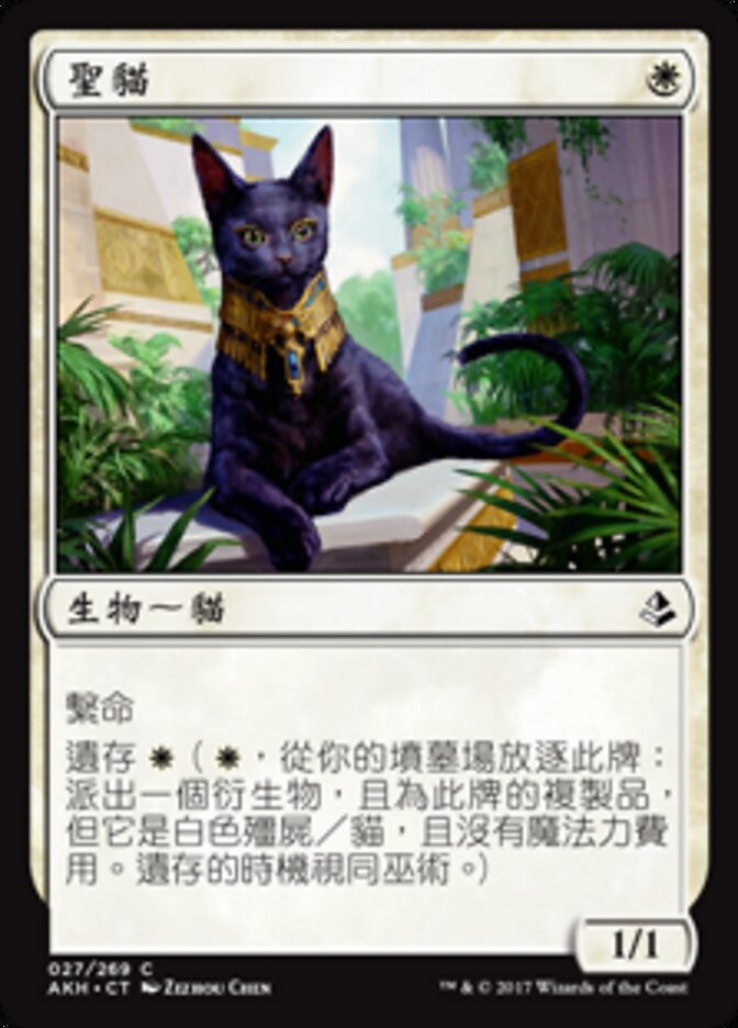 聖貓