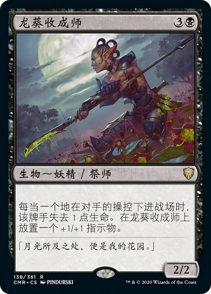龙葵收成师