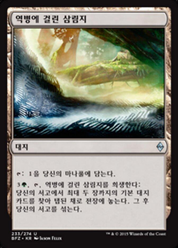 역병에 걸린 삼림지