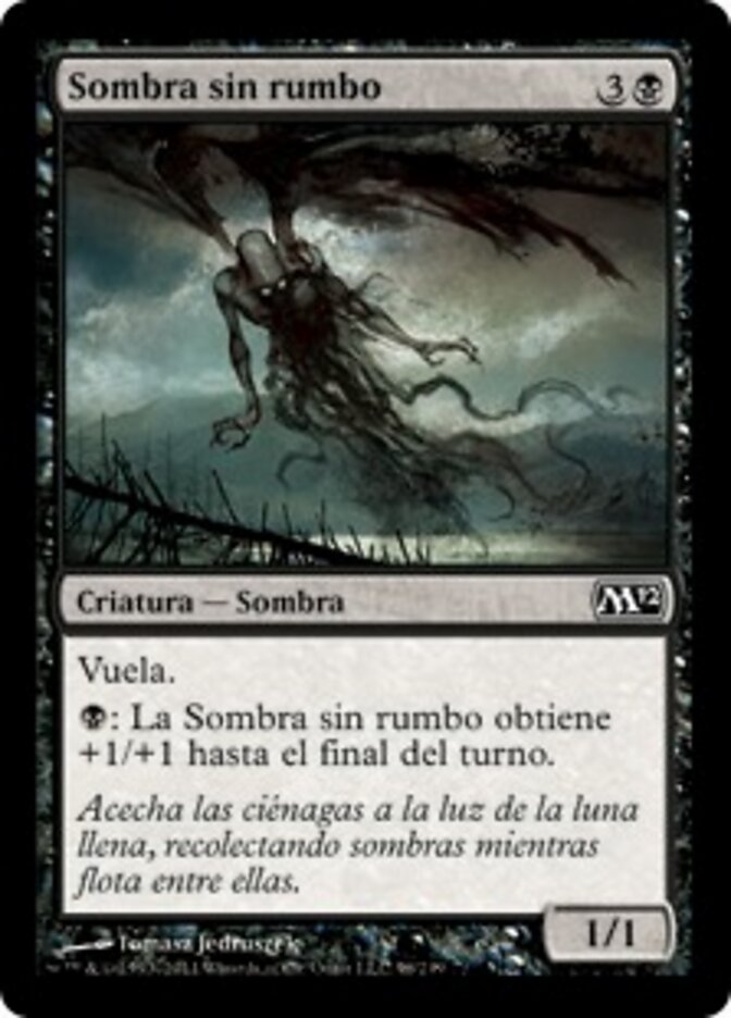Sombra sin rumbo