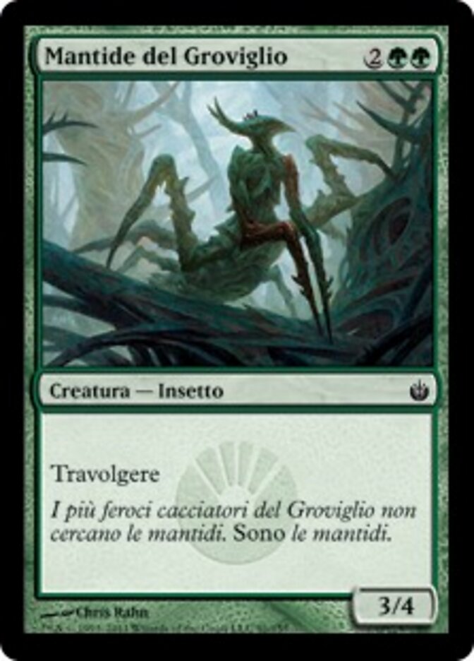 Mantide del Groviglio