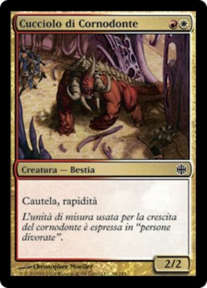 Cucciolo di Cornodonte