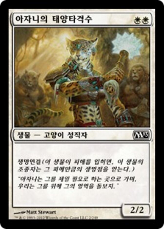 아자니의 태양타격수