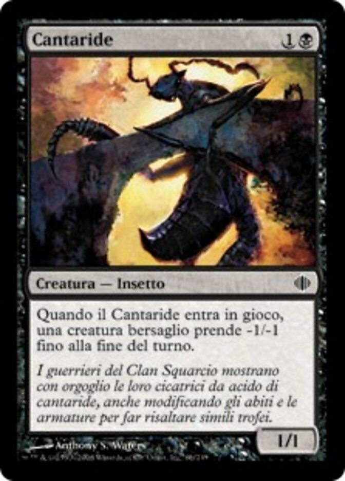 Cantaride