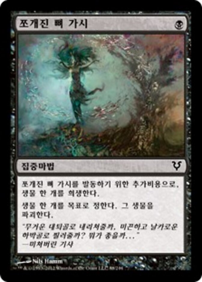 쪼개진 뼈 가시