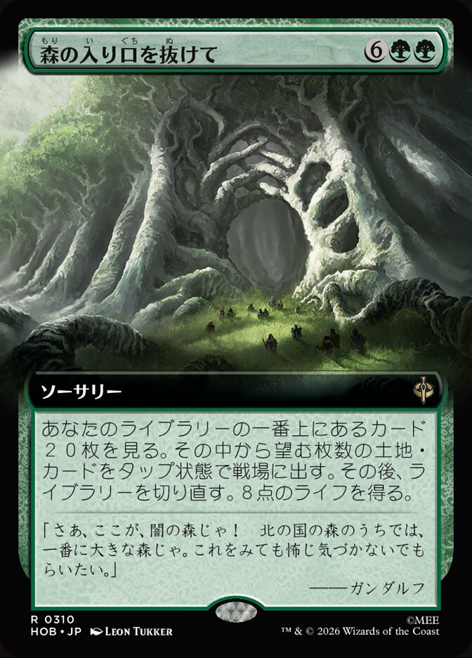 森の入り口を抜けて
