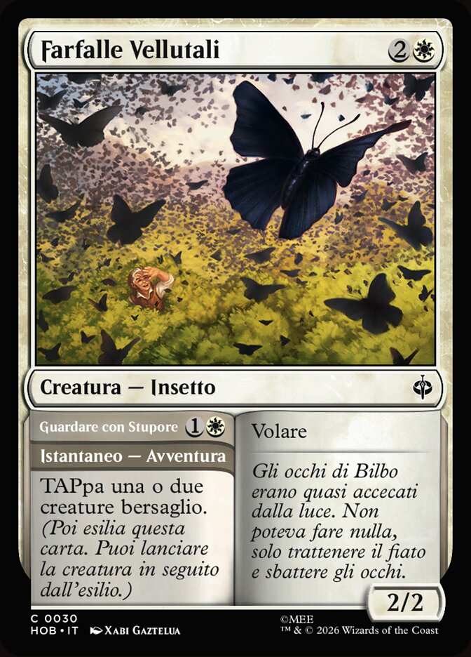 Velvetwing Butterflies // Gaze in Wonder