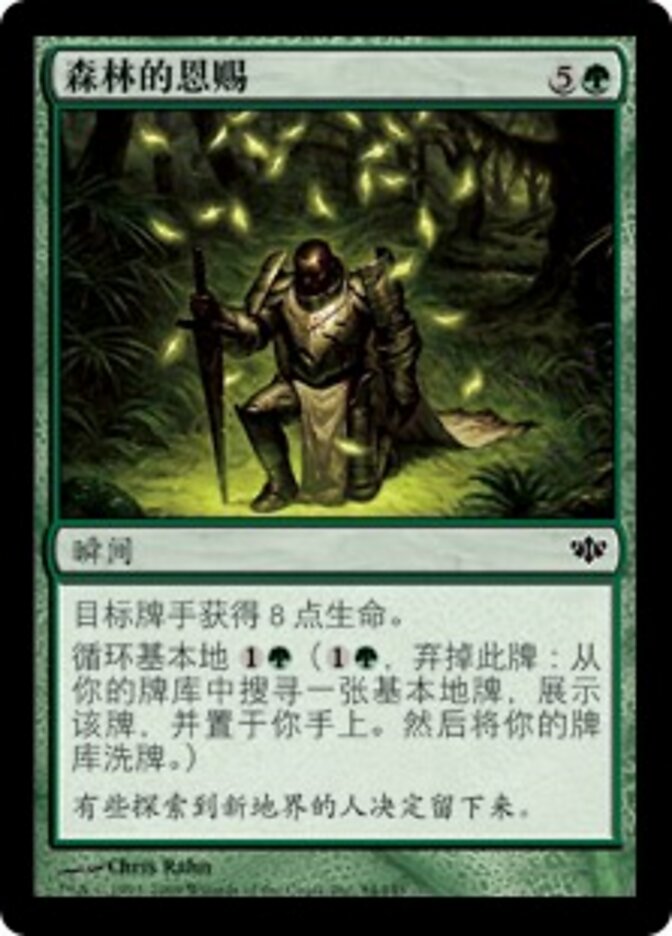 森林的恩赐