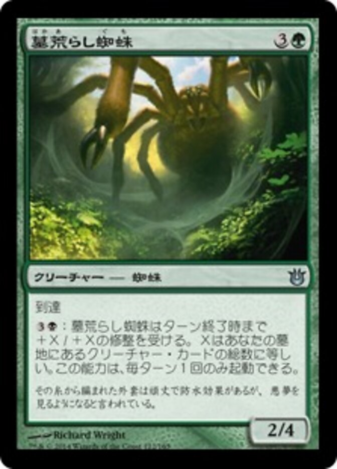 墓荒らし蜘蛛