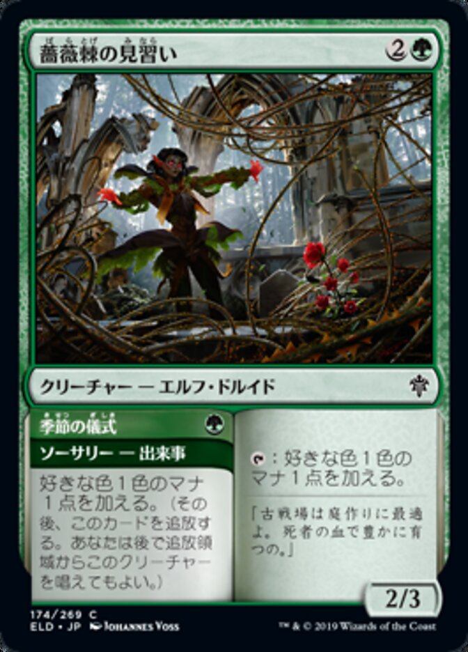 Rosethorn Acolyte // Seasonal Ritual