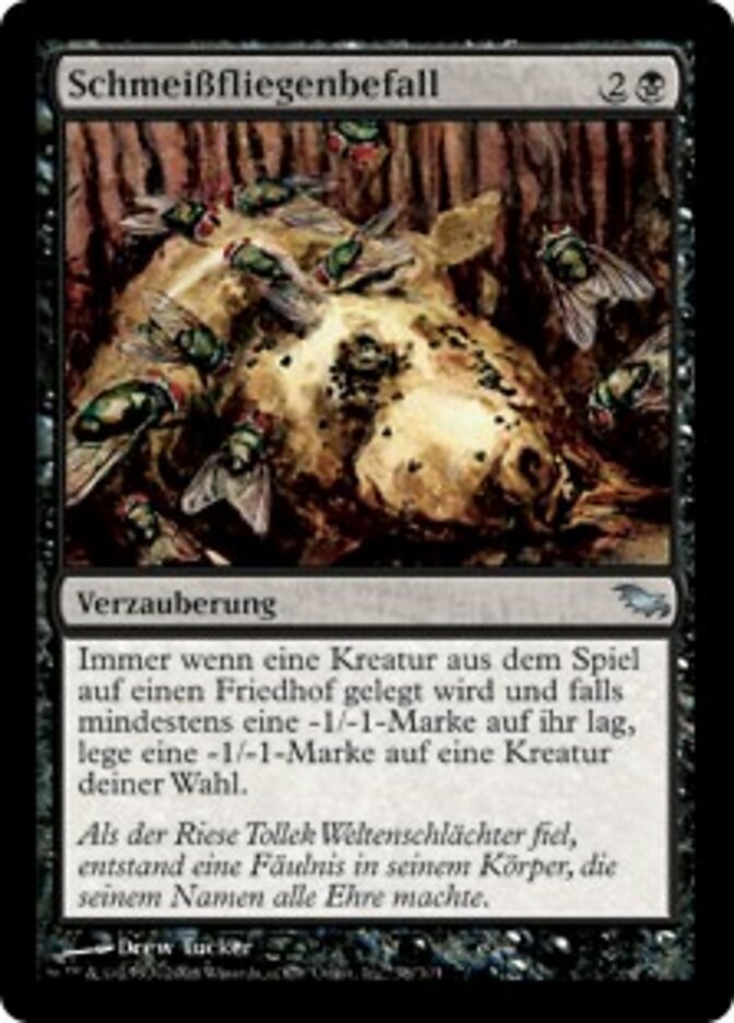 Schmeißfliegenbefall