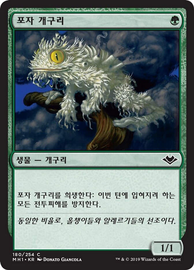 포자 개구리