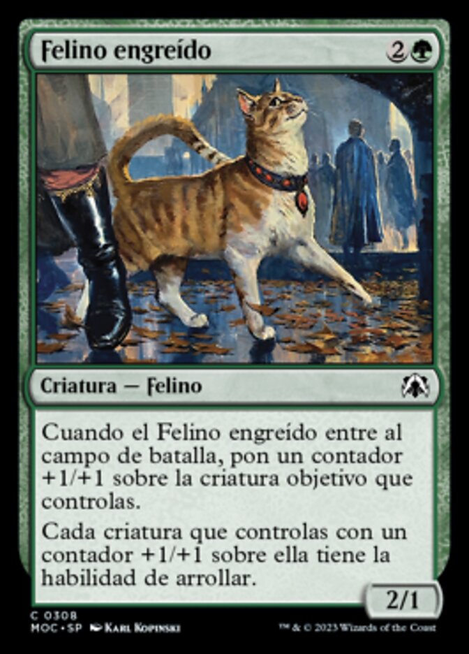 Felino engreído