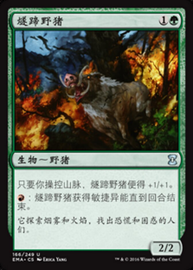 燧蹄野猪