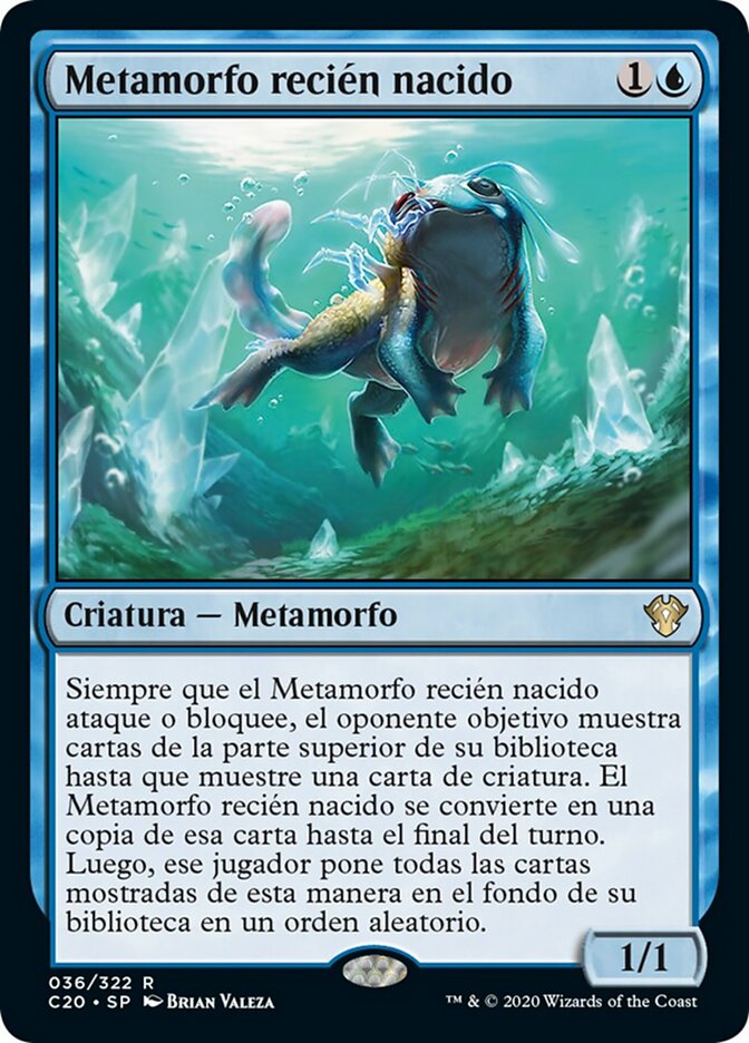 Metamorfo recién nacido