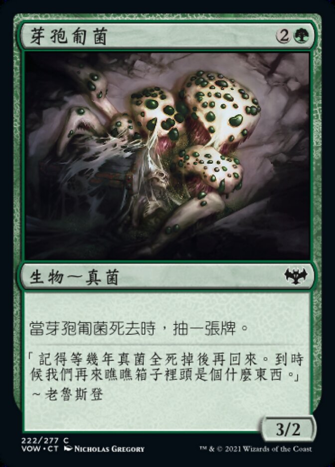 芽孢匍菌