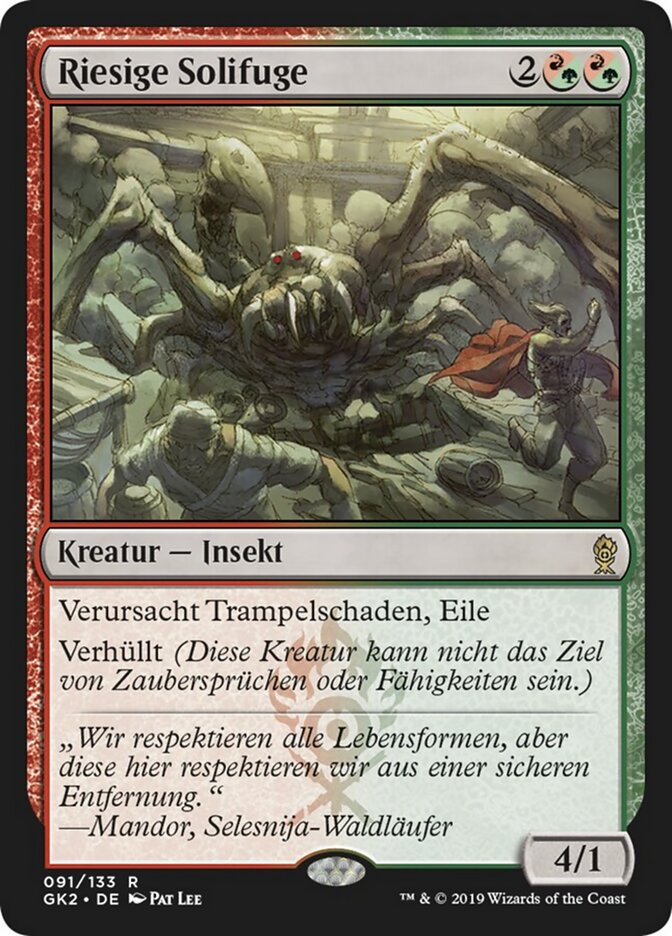 Riesige Solifuge