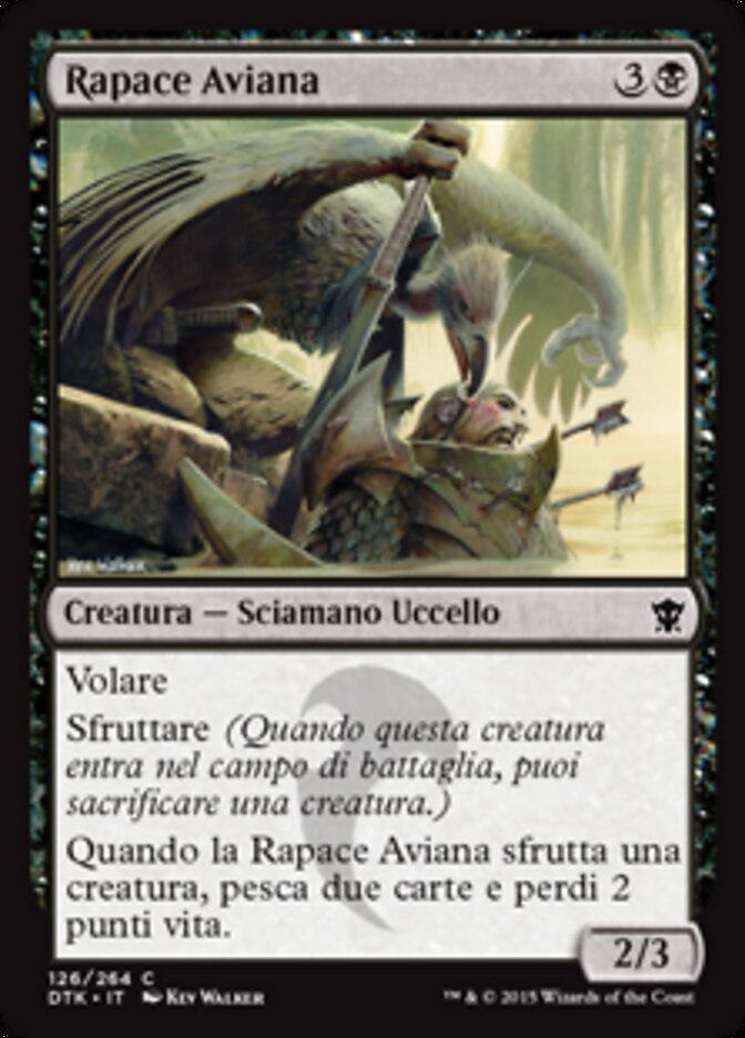 Rapace Aviana