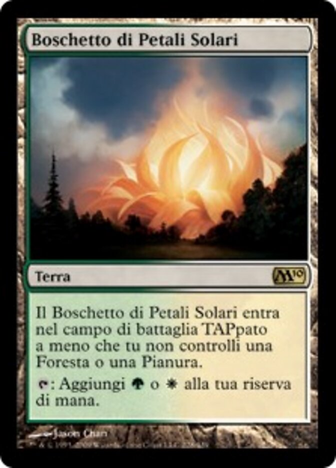 Boschetto di Petali Solari
