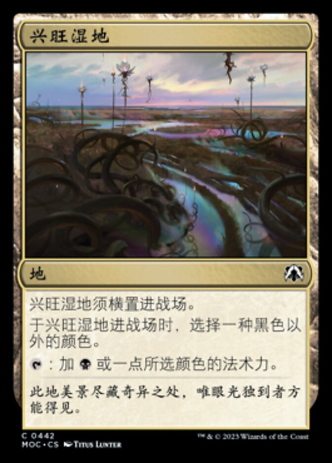 兴旺湿地
