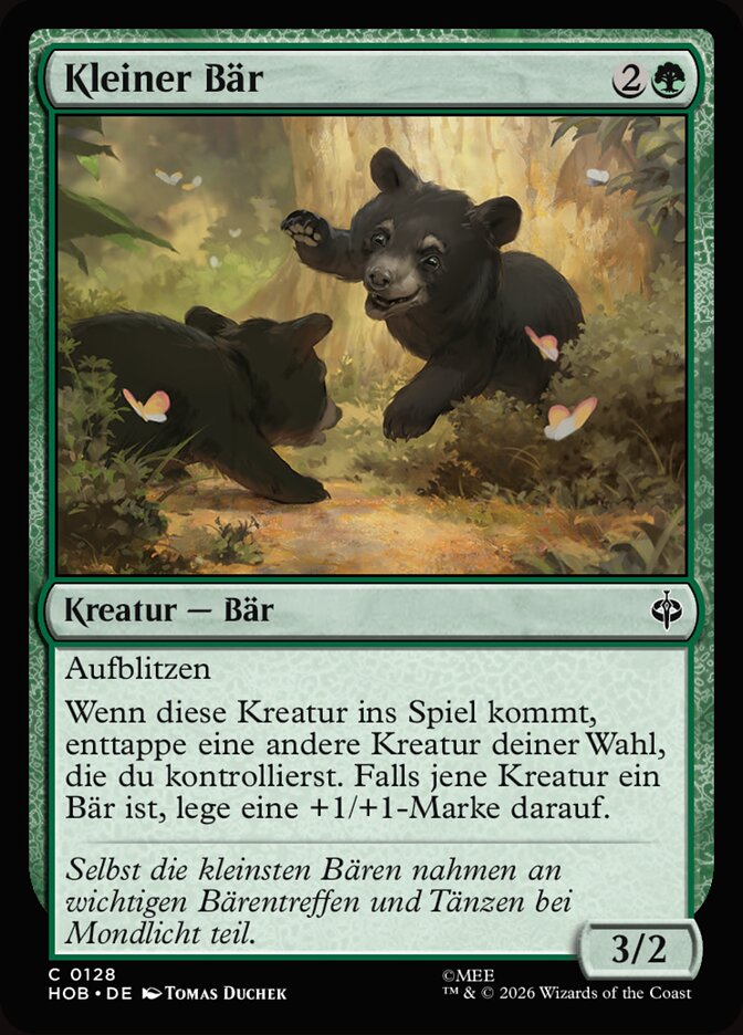 Kleiner Bär