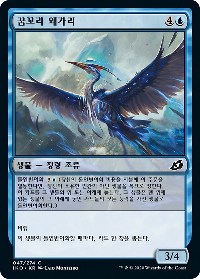 꿈꼬리 왜가리