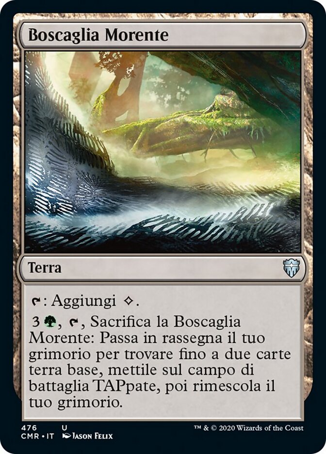 Boscaglia Morente
