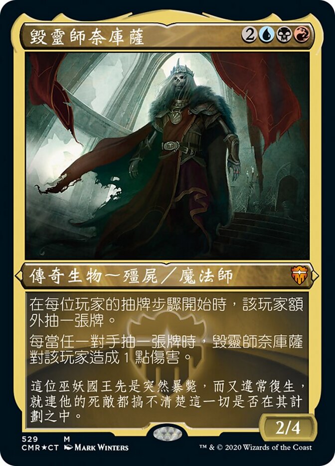 毀靈師奈庫薩