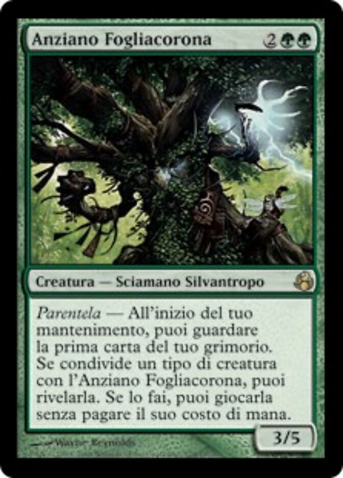 Anziano Fogliacorona