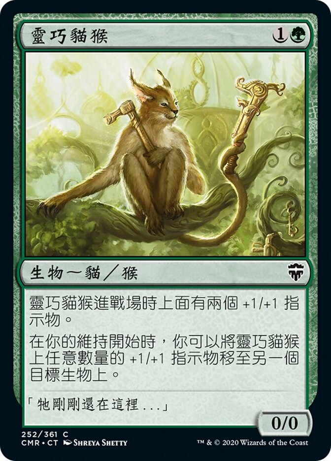 靈巧貓猴